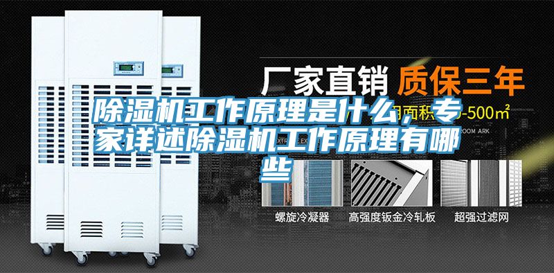 91看片软件大全工作原理是什麽，專家詳述91看片软件大全工作原理有哪些