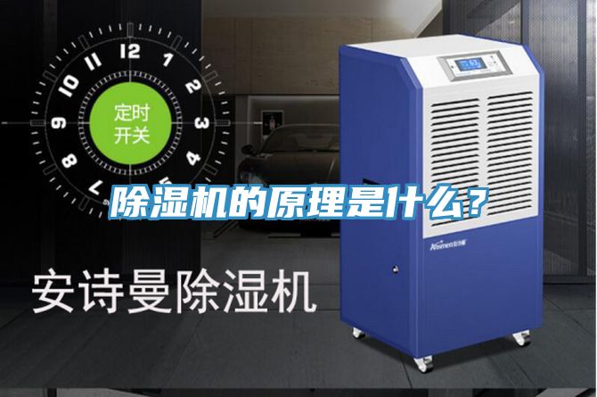 91看片软件大全的原理是什麽？