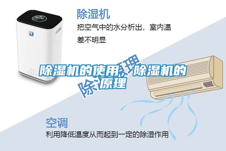 91看片软件大全的使用，91看片软件大全的原理