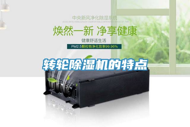 轉輪91看片软件大全的特點