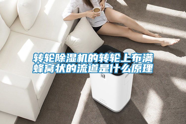 轉輪91看片软件大全的轉輪上布滿蜂窩狀的流道是什麽原理