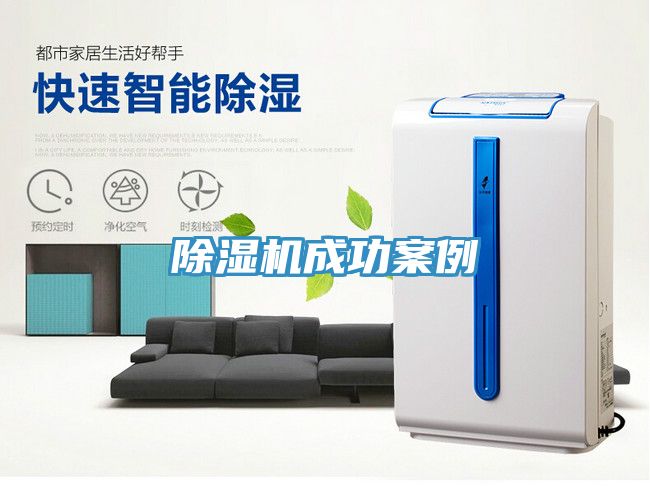 91看片软件大全成功案例