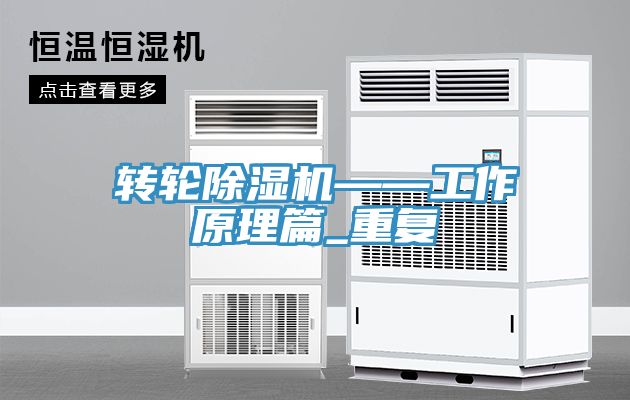 轉輪91看片软件大全——工作原理篇_重複