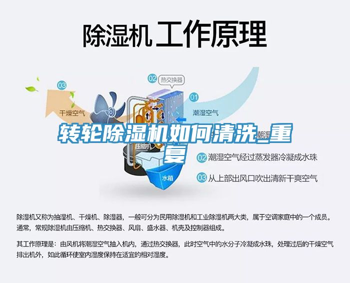 轉輪91看片软件大全如何清洗_重複