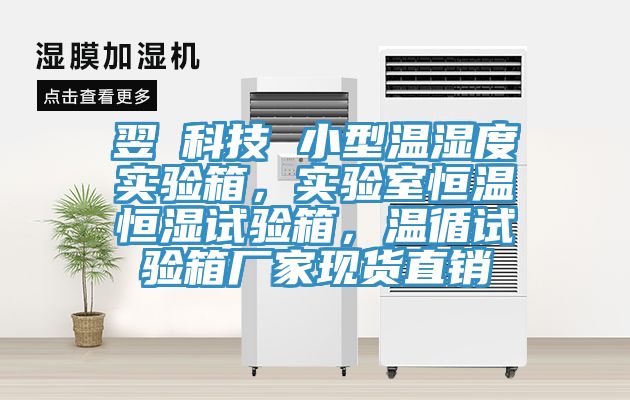 翌昇科技 小型溫濕度實驗箱，實驗室恒溫恒濕試驗箱，溫循試驗箱廠家現貨直銷