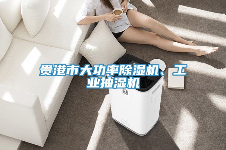 貴港市大功率91看片软件大全、工業抽濕機