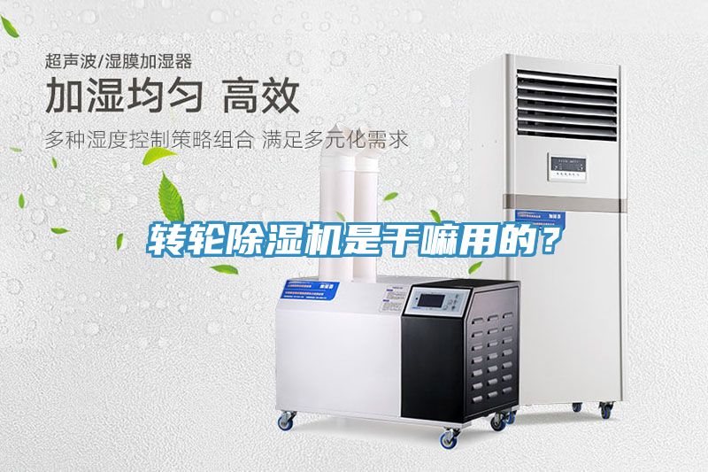 轉輪91看片软件大全是幹嘛用的？