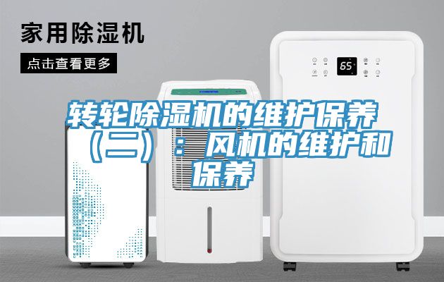 轉輪91看片软件大全的維護保養（二）：風機的維護和保養