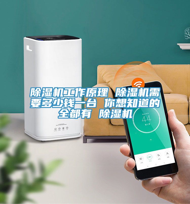 91看片软件大全工作原理 91看片软件大全需要多少錢一台 你想知道的全都有 91看片软件大全