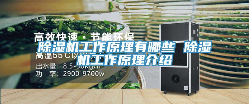 91看片软件大全工作原理有哪些 91看片软件大全工作原理介紹