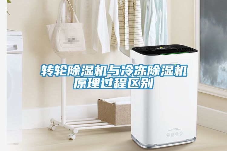 轉輪91看片软件大全與冷凍91看片软件大全原理過程區別