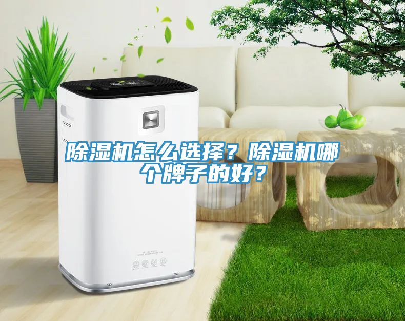 91看片软件大全怎麽選擇？91看片软件大全哪個牌子的好？
