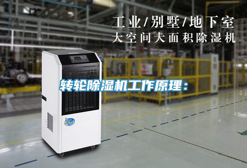 轉輪91看片软件大全工作原理：