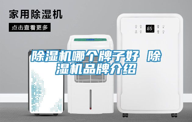 91看片软件大全哪個牌子好 91看片软件大全品牌介紹