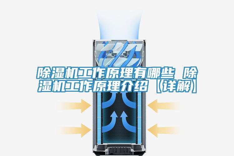 91看片软件大全工作原理有哪些 91看片软件大全工作原理介紹【詳解】