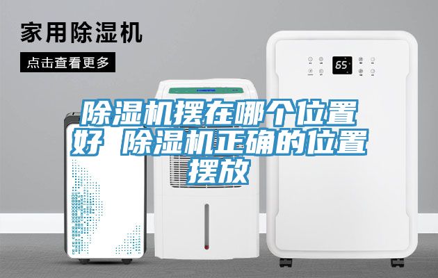 91看片软件大全擺在哪個位置好 91看片软件大全正確的位置擺放