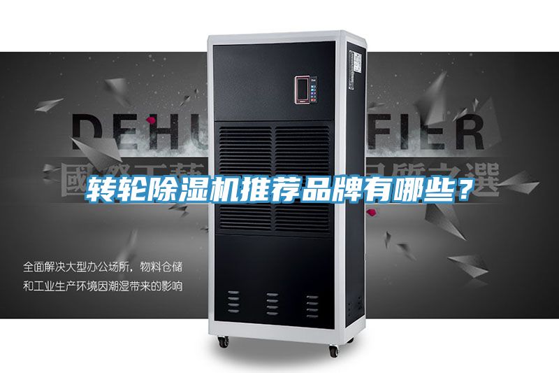轉輪91看片软件大全推薦品牌有哪些？