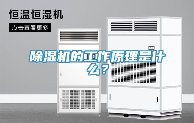 91看片软件大全的工作原理是什麽？