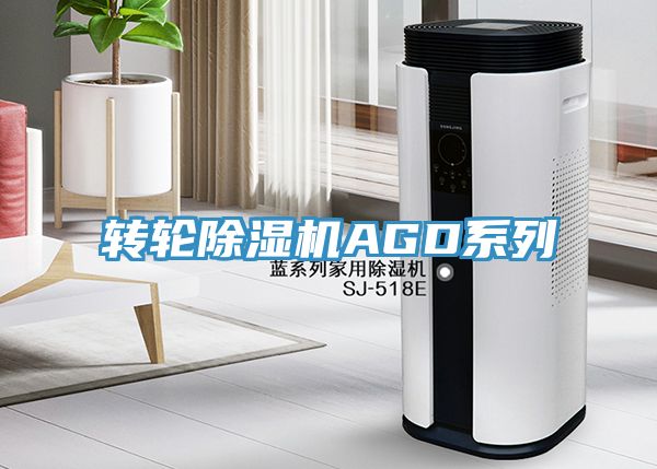 轉輪91看片软件大全AGD係列