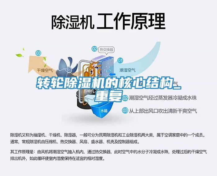 轉輪91看片软件大全的核心結構_重複