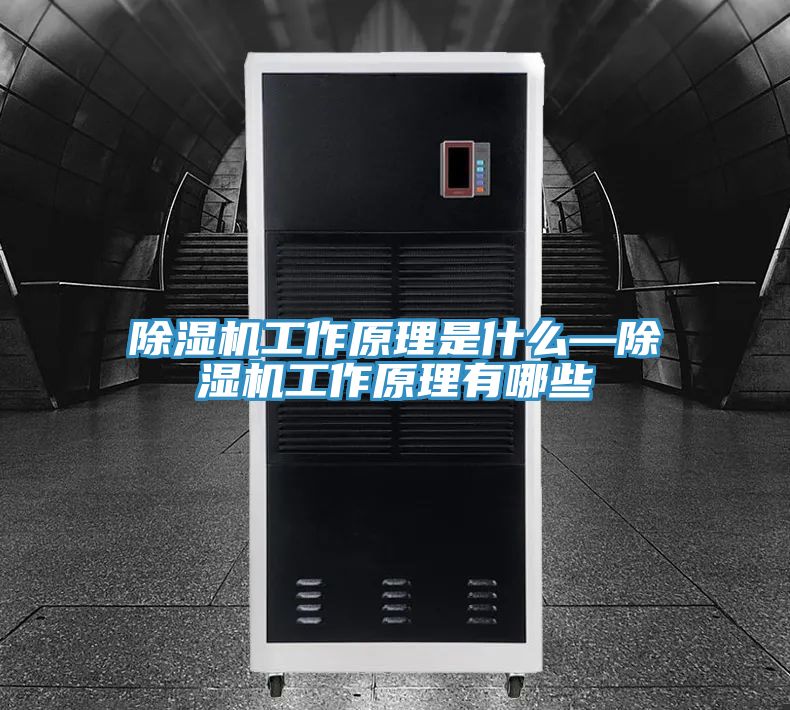 91看片软件大全工作原理是什麽—91看片软件大全工作原理有哪些