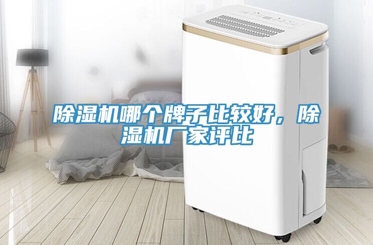 91看片软件大全哪個牌子比較好，91看片软件大全廠家評比