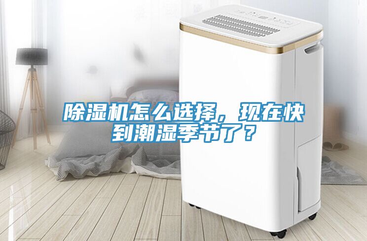91看片软件大全怎麽選擇，現在快到潮濕季節了？