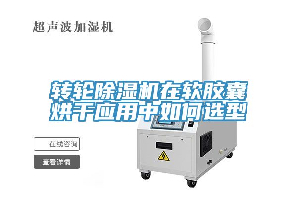 轉輪91看片软件大全在軟膠囊烘幹應用中如何選型