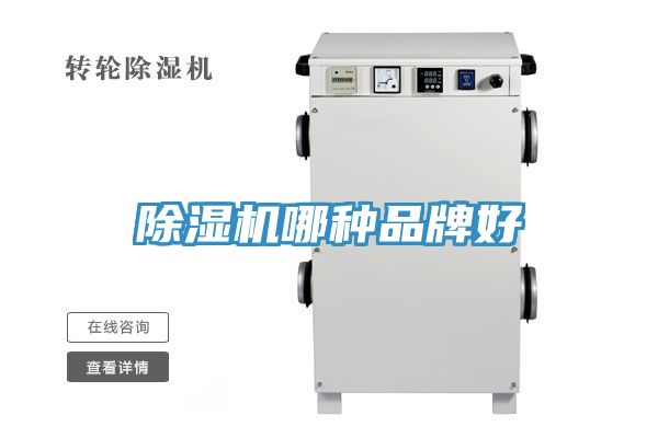 91看片软件大全哪種品牌好