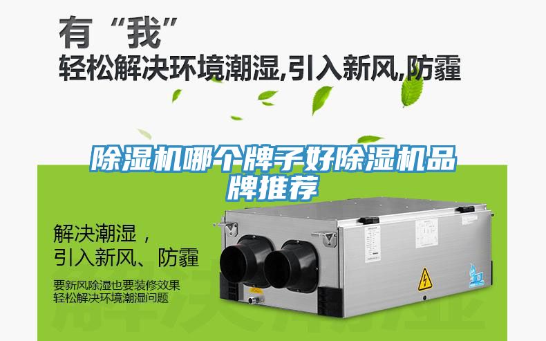91看片软件大全哪個牌子好91看片软件大全品牌推薦