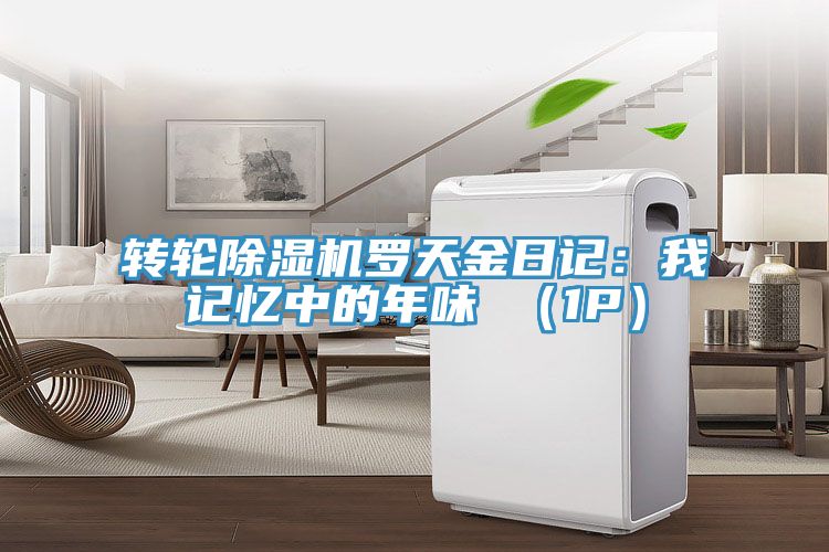 轉輪91看片软件大全羅天金日記：我記憶中的年味 （1P）