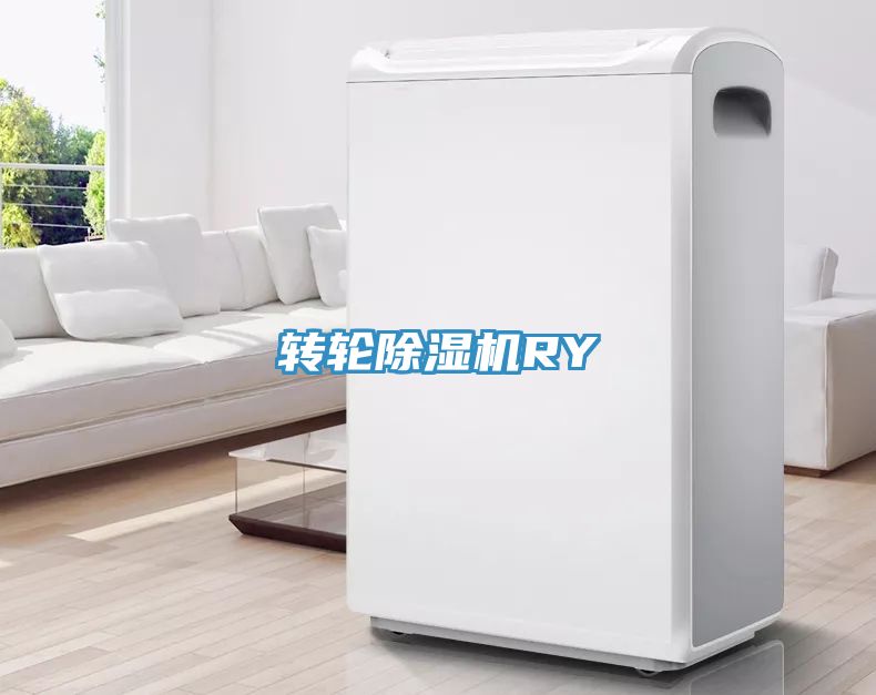 轉輪91看片软件大全RY