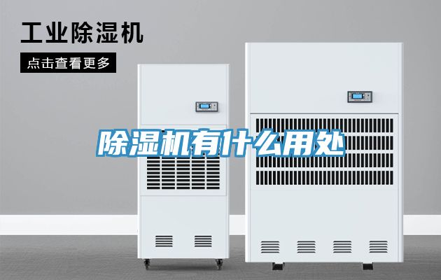 91看片软件大全有什麽用處
