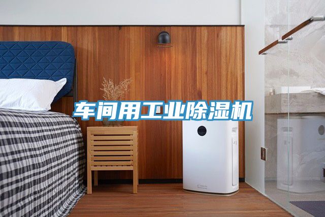 車間用工業91看片软件大全