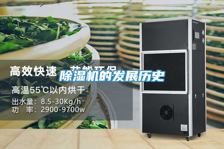 91看片软件大全的發展曆史