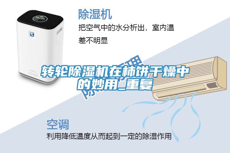 轉輪91看片软件大全在柿餅幹燥中的妙用_重複