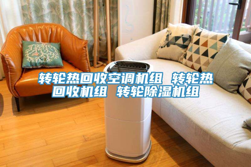 轉輪熱回收空調機組 轉輪熱回收機組 轉輪91看片软件大全組