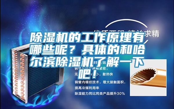 91看片软件大全的工作原理有哪些呢？具體的和哈爾濱91看片软件大全了解一下吧！