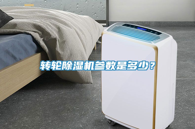轉輪91看片软件大全參數是多少？