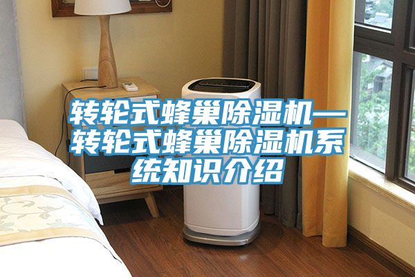 轉輪式蜂巢91看片软件大全—轉輪式蜂巢91看片软件大全係統知識介紹
