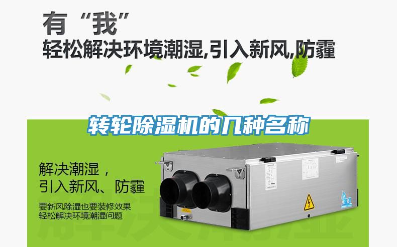 轉輪91看片软件大全的幾種名稱