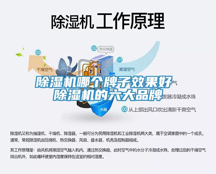 91看片软件大全哪個牌子效果好 91看片软件大全的六大品牌