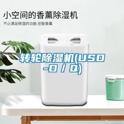 轉輪91看片软件大全(USD-D／Q)