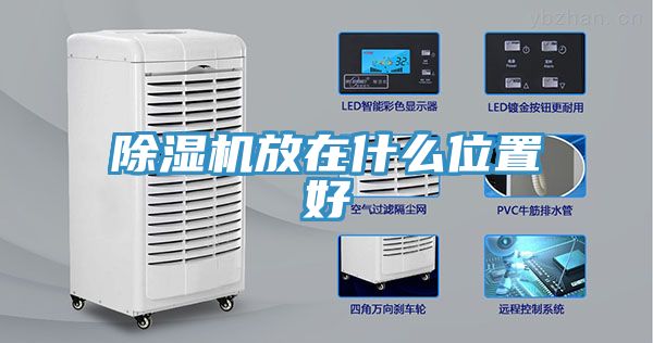91看片软件大全放在什麽位置好