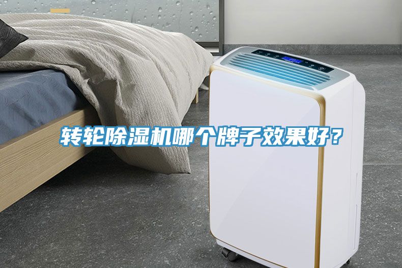 轉輪91看片软件大全哪個牌子效果好？