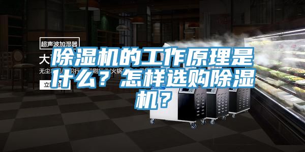 91看片软件大全的工作原理是什麽？怎樣選購91看片软件大全？