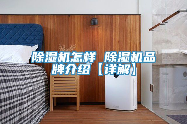 91看片软件大全怎樣 91看片软件大全品牌介紹【詳解】