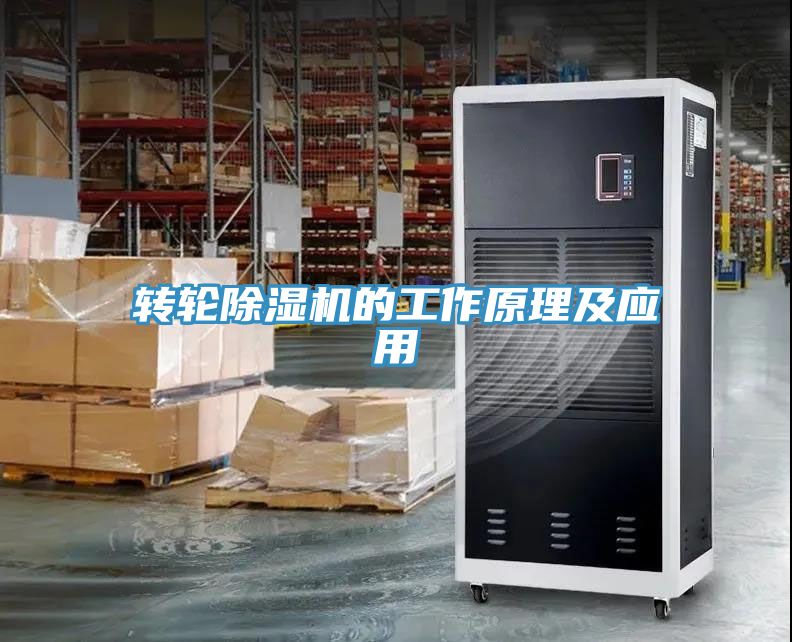 轉輪91看片软件大全的工作原理及應用