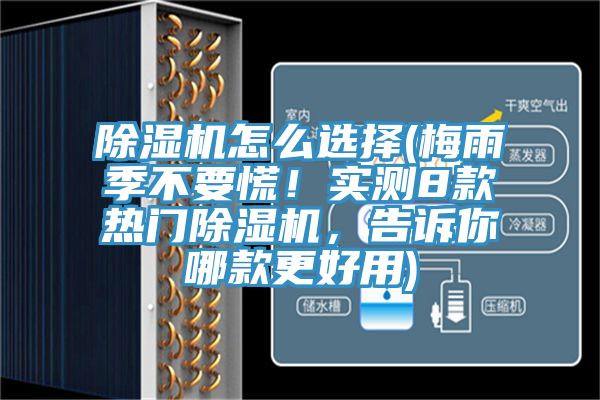 91看片软件大全怎麽選擇(梅雨季不要慌！實測8款熱門91看片软件大全，告訴你哪款更好用)
