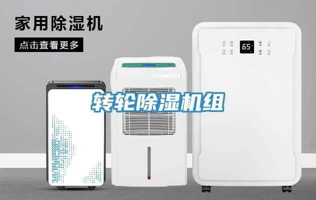 轉輪91看片软件大全組